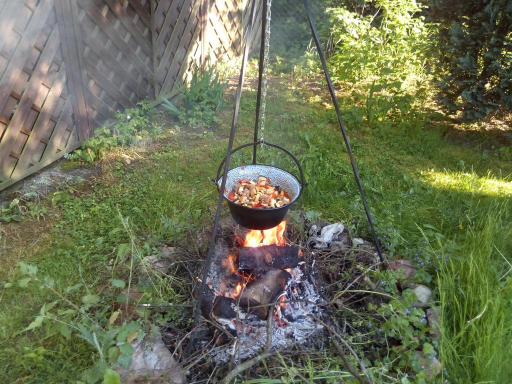 Gospodarstwo Agroturystyczne Z Basenem & Spa I Alpakami Ełk Kültér fotó